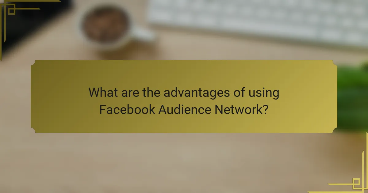 What are the advantages of using Facebook Audience Network?