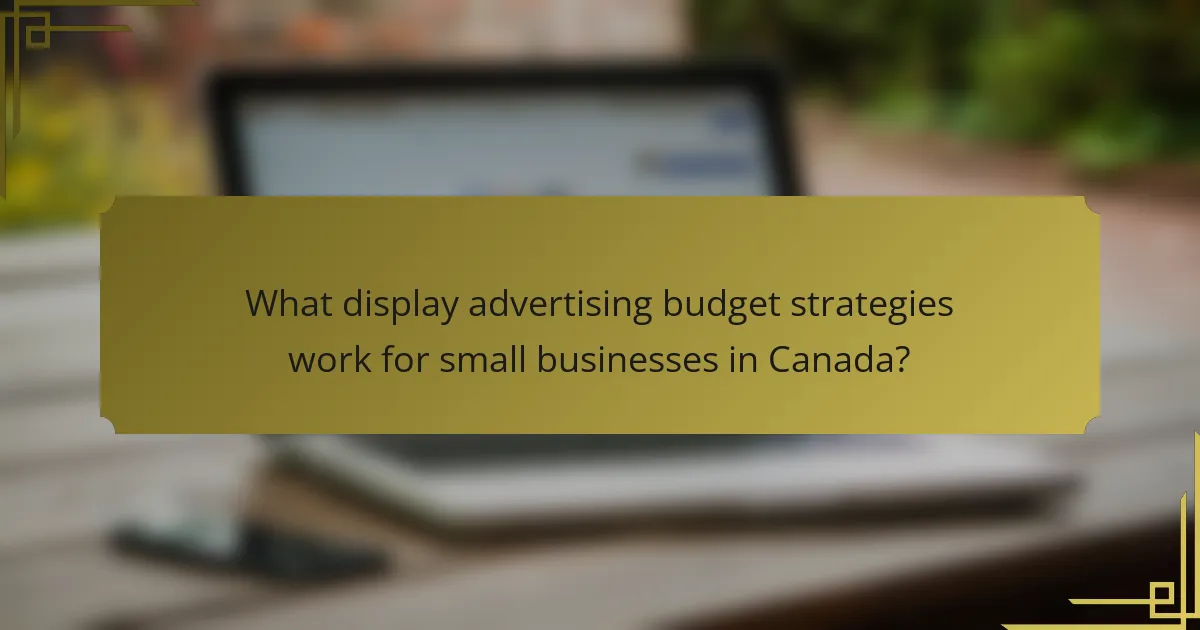 What display advertising budget strategies work for small businesses in Canada?