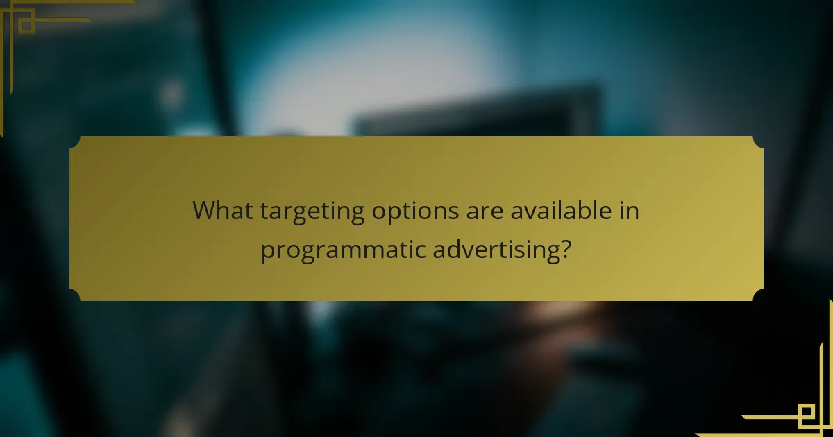 What targeting options are available in programmatic advertising?